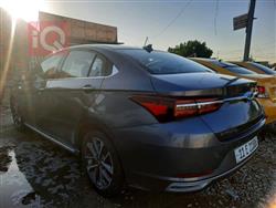 شيري أريزو 6